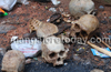 Human bones found discarded near KSRTC Bus Stand